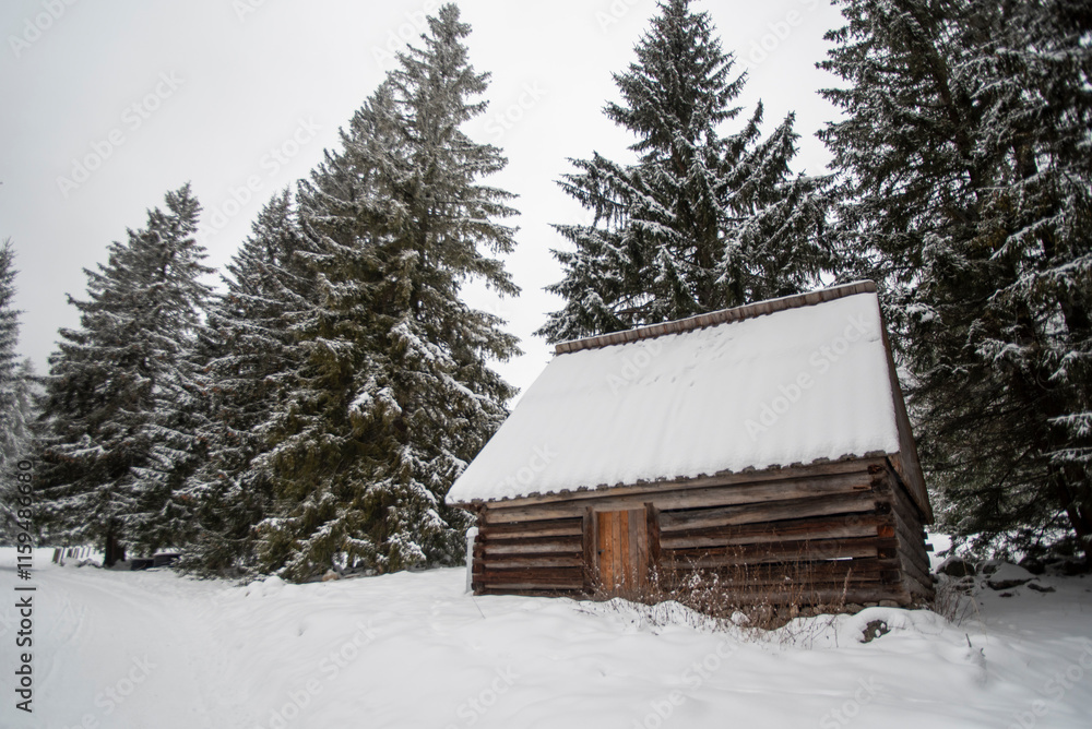A serene winter scene in the Chocholowska Valley, showcasing traditional highlander huts nestled among snow-covered fields. These rustic shelters, add charm to the tranquil alpine landscape. A serene winter scene in the Chocholowska Valley, showcasing traditional highlander huts nestled among snow-covered fields. These rustic shelters, add charm to the tranquil alpine landscape.