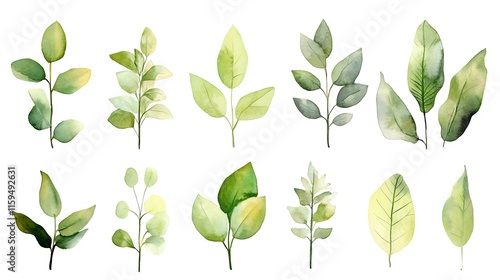 Green Leaf Collection: Artistic Watercolor and Detailed Digital Illustrations Featuring Clovers, Tropical Leaves, Falling Foliage, and Textured Dry Leaves - Perfect for Nature-Themed Designs and Decor
