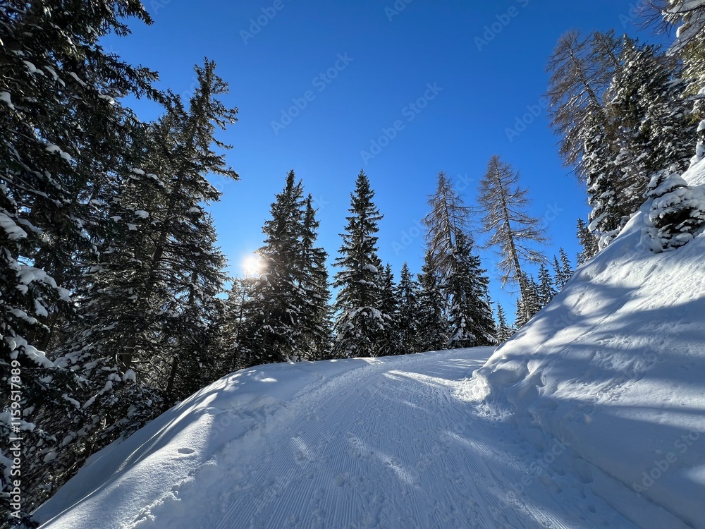 Fototapeta premium Excellently arranged and cleaned winter trails for walking, hiking, sports and recreation in the area of the tourist resort of Davos in the Swiss Alps - Canton of Grisons, Switzerland (Schweiz)