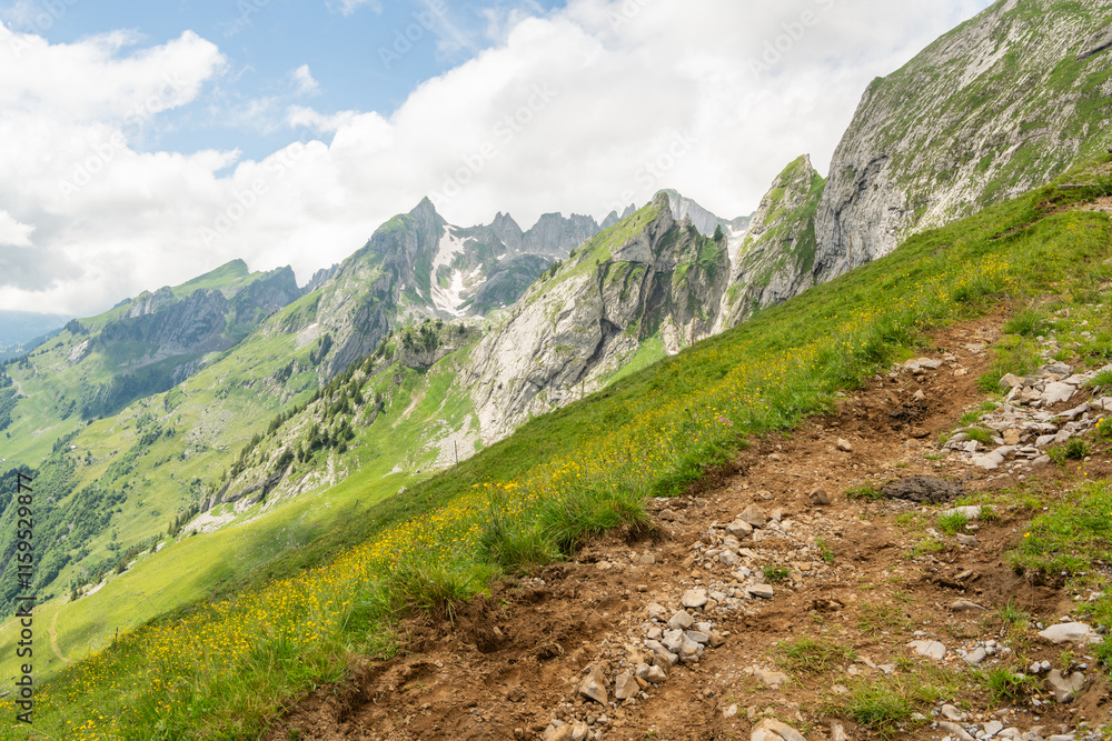Fototapeta premium Alpine meadow and hiking trail in the foreground, Alpstein mountains with sharp rock peaks in the background. Beautiful hiking destination in the Swiss Alps. Wonderful travel destination. copy space.