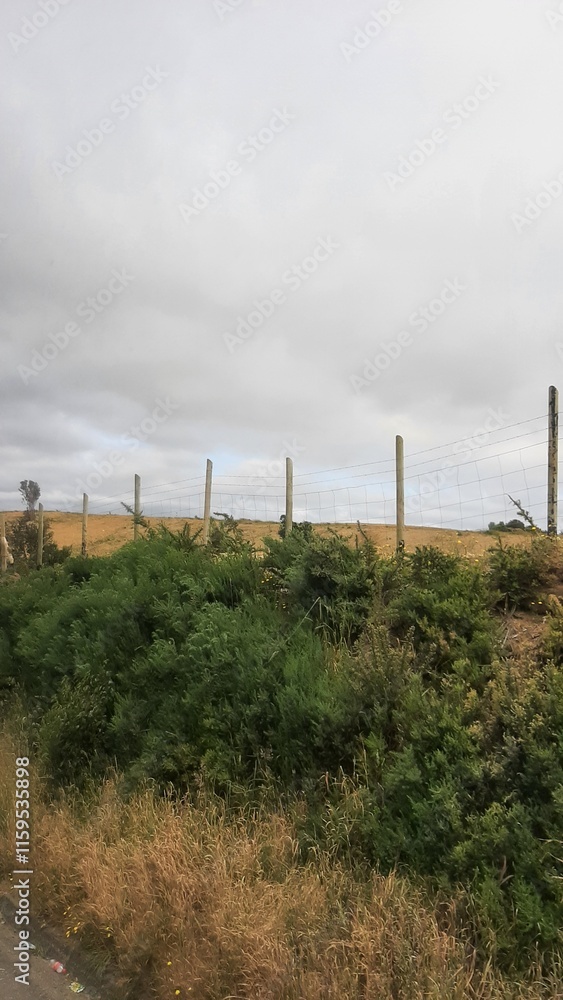 Obraz premium fence in the field