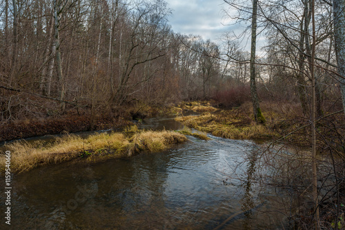 Forest river in late autumn with rapid flow