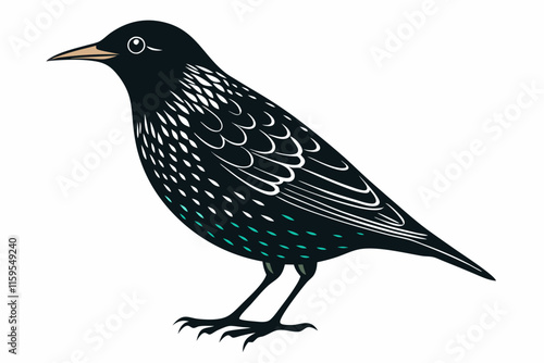 Common Starling bird with white background. Starling Bird Clip Art Vector Illustration Design

 photo