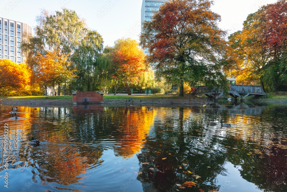 Autumn colors reflect in tranquil water of park with bridges and city skyline in the background during golden hour Autumn colors reflect in tranquil water of park with bridges and city skyline in the background during golden hour