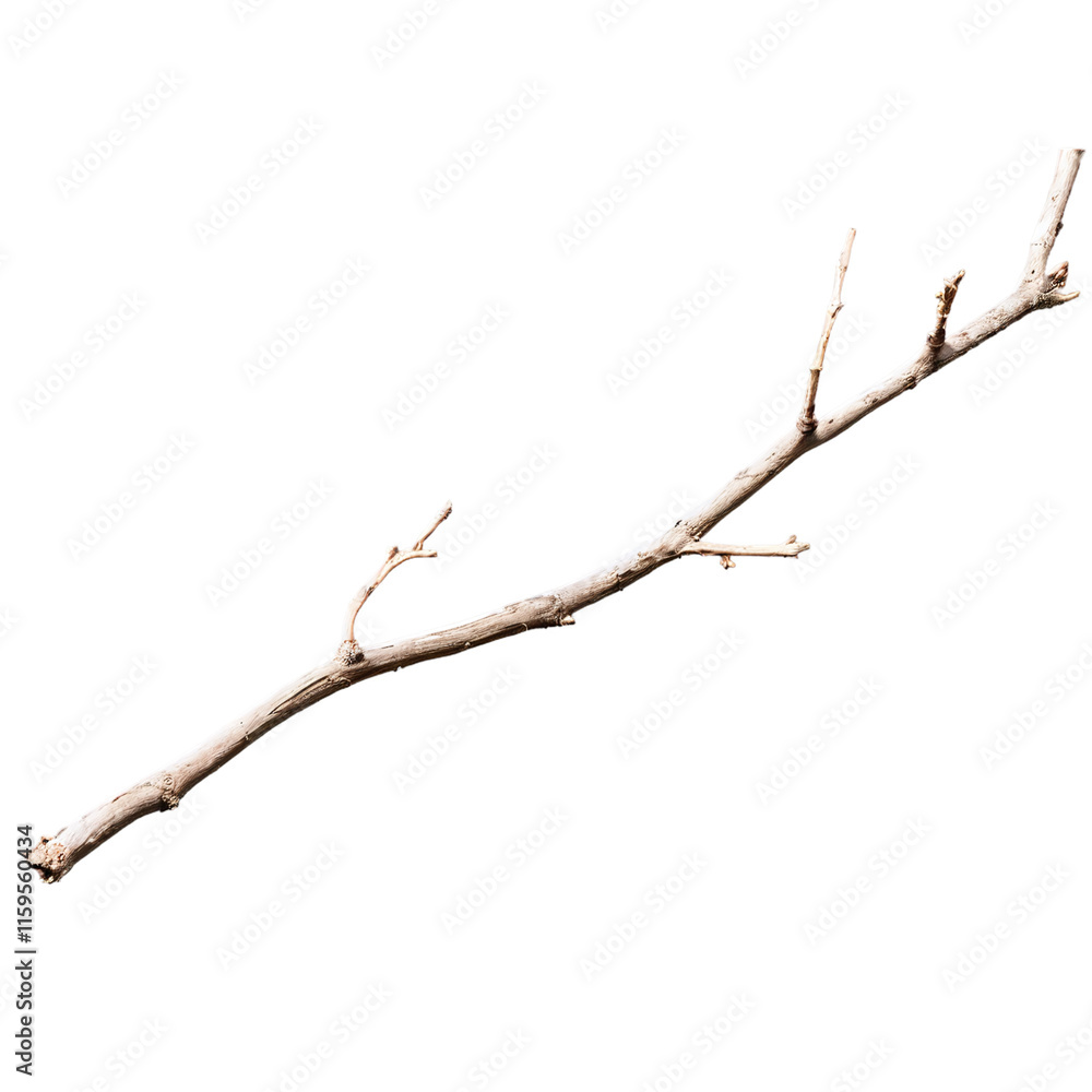 dry wooden twig isolated on transparent background dry wooden twig isolated on transparent background