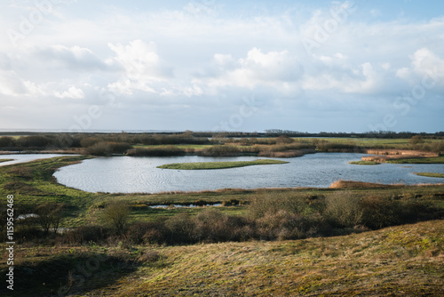 Wetlands and marshes in Parc du Marquenterre, France photo