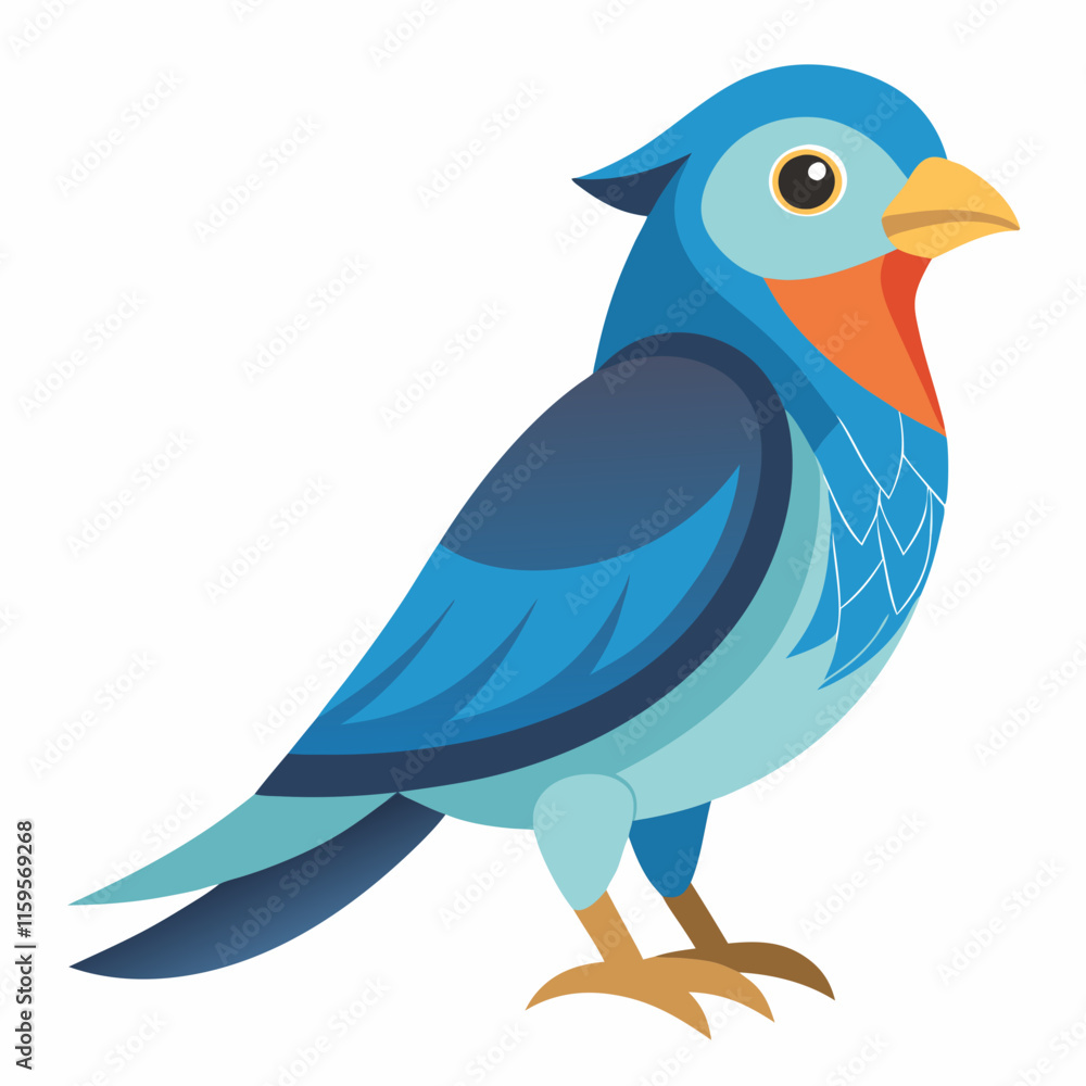 Bird on White Background Bird on White Background