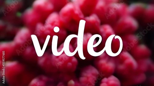 white letters video over red raspberry blurred background