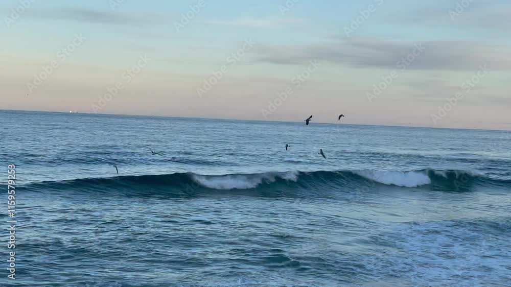 blue Sea waves and seagulls flying blue Sea waves and seagulls flying