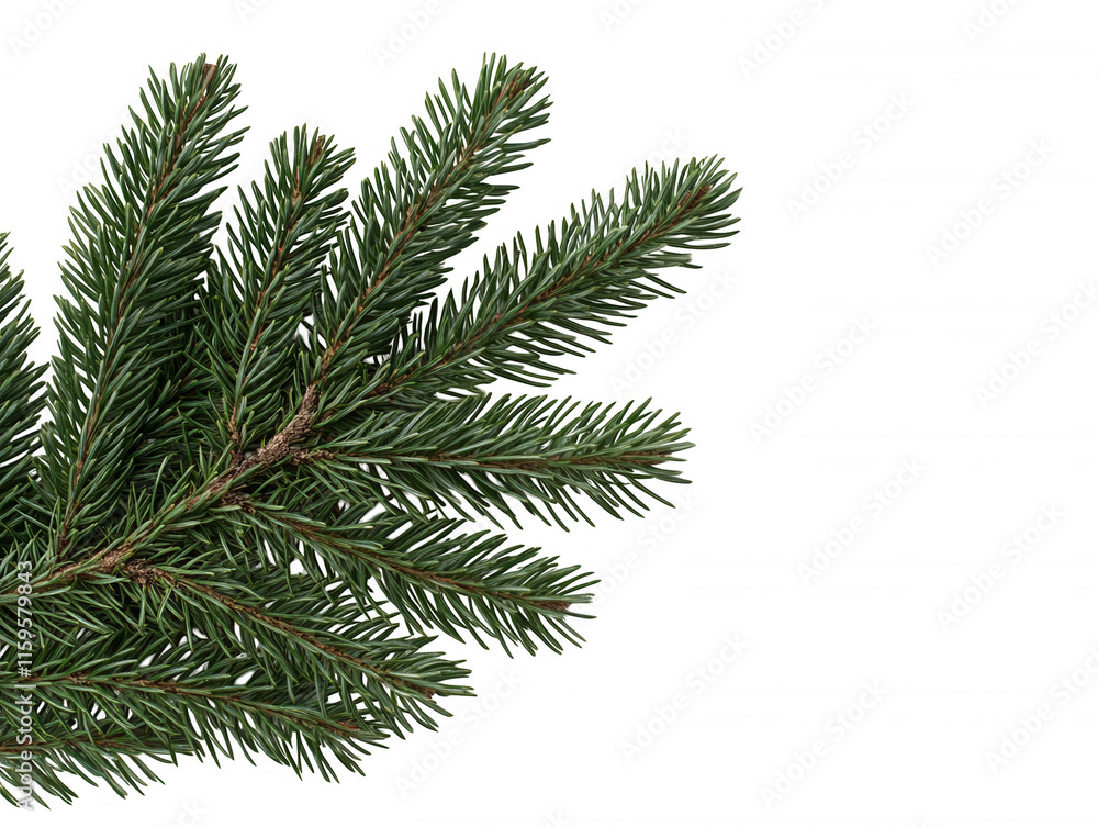 Lush and Dense Green Pine Twig with Rich Needles Capturing the Essence of Nature's Beauty in a Vibrant Forest Environment Lush and Dense Green Pine Twig with Rich Needles Capturing the Essence of Nature's Beauty in a Vibrant Forest Environment