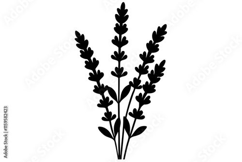 branch of a plant
