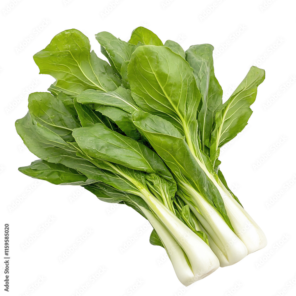 A bunch of fresh bok choy with vibrant green leaves and white stems. A bunch of fresh bok choy with vibrant green leaves and white stems.