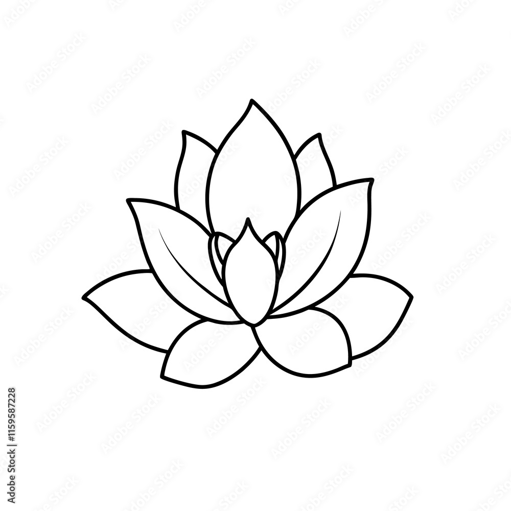 lotus flower illustration lotus flower illustration