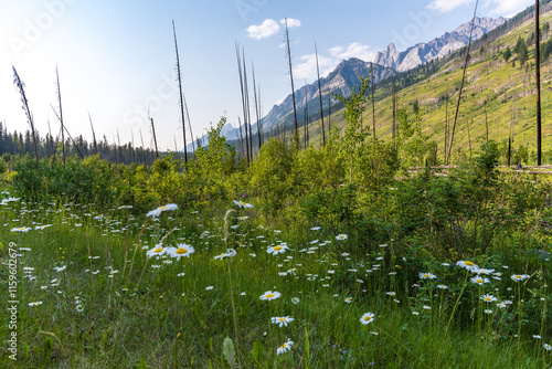 Wallpaper Mural view of banff national park canada Torontodigital.ca