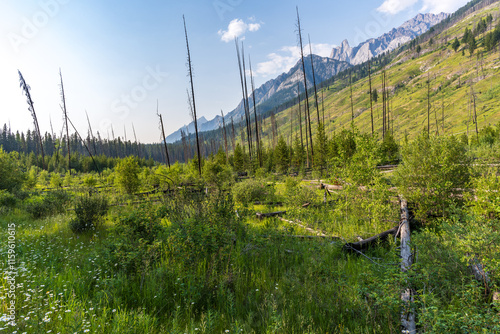 Wallpaper Mural view of banff national park alberta Torontodigital.ca