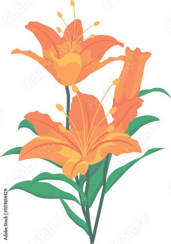 Lilies Flower Vector Flat Illustration