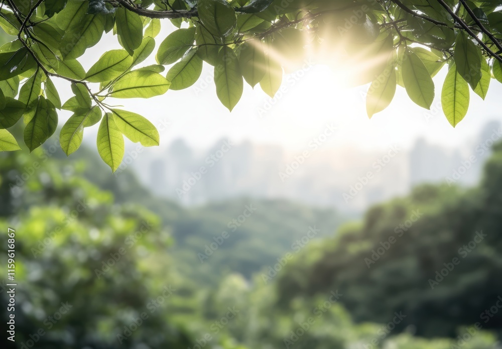 Obraz premium 緑の葉越しに見える朝日と山々の美しい風景