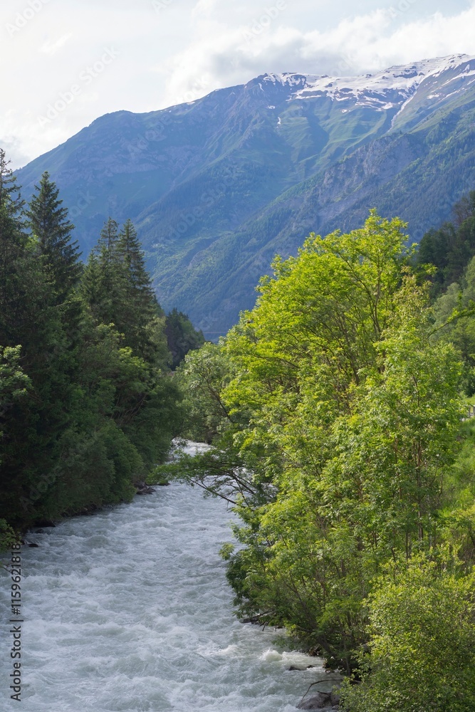 Vertical shot of a river flowing through the Alps mountains surrounded by trees Vertical shot of a river flowing through the Alps mountains surrounded by trees