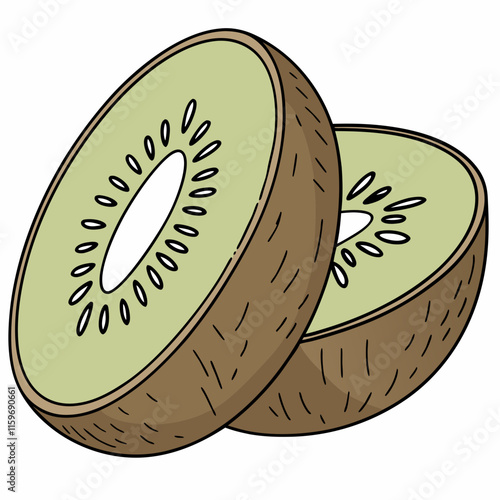 illustration of kiwi fruit