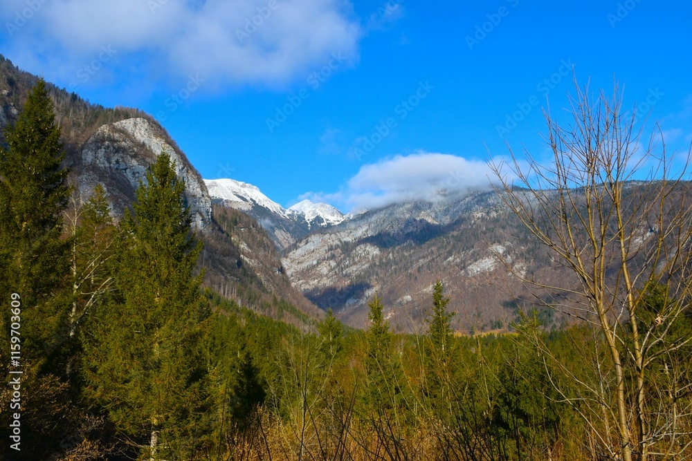 View of Voje valley and Tošc and Draški Vrh mountains in Julian alps, Gorenjska, Slovenia View of Voje valley and Tošc and Draški Vrh mountains in Julian alps, Gorenjska, Slovenia