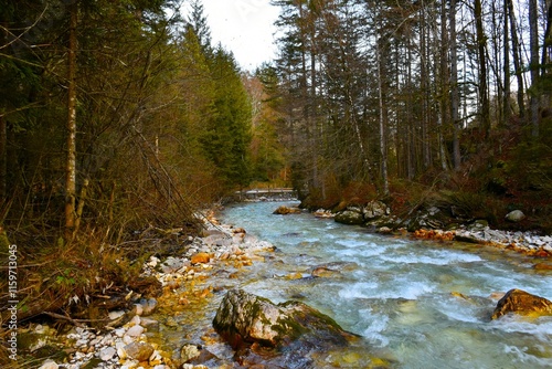 Triglavska Bistrica river flowing through a forest in Vrata, Julian alps, Gorenjska, Slovenia photo