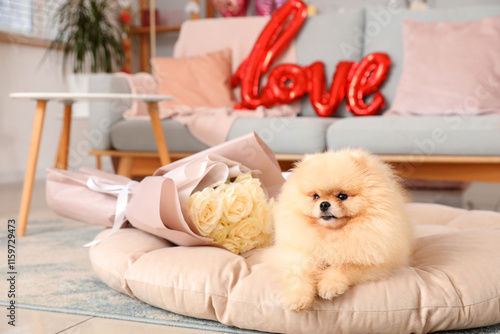Cute Pomeranian dog with bo...