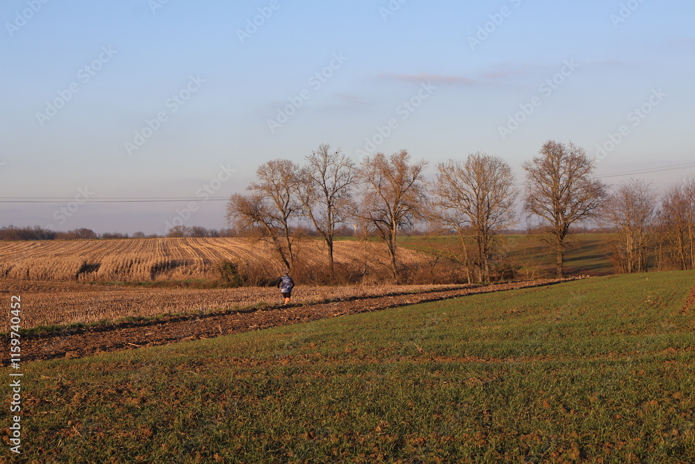 Obraz premium paysage champêtre