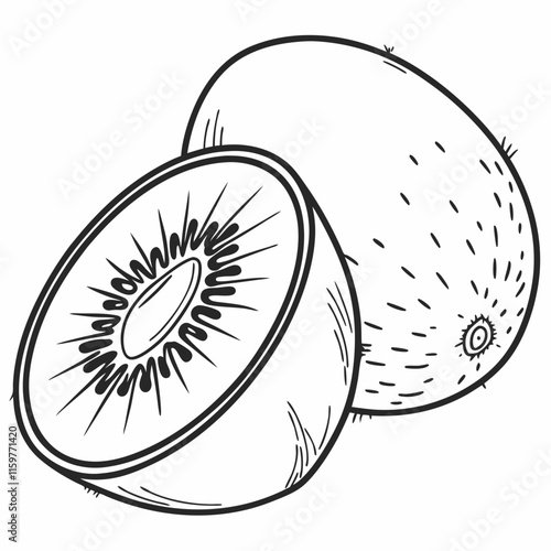 illustration of kiwi fruit