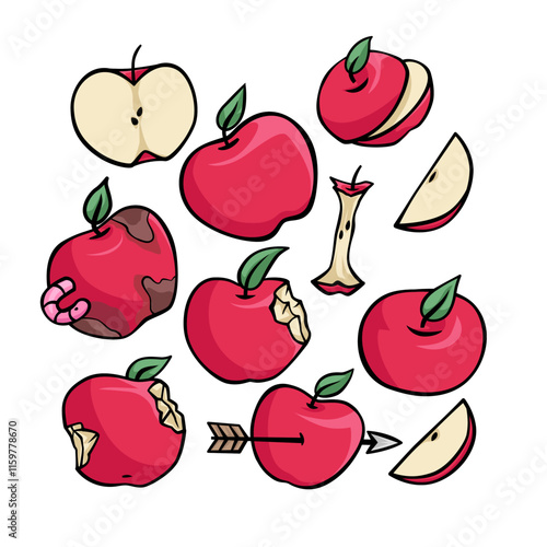 Apple with various condition and view fruit organic agriculture handdrawn doodle sketch illustration