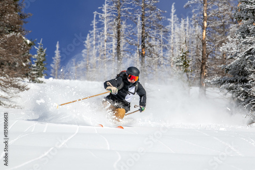 Woman Skier and Powder III