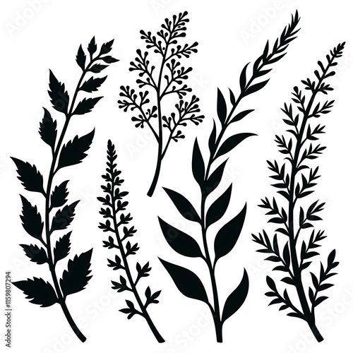 silhouette vector herb plant set on white background photo