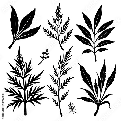 silhouette vector herb plant set on white background photo