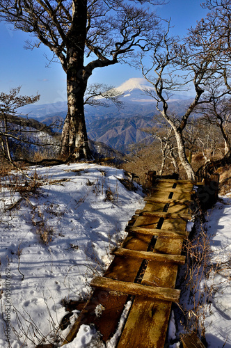 丹沢の檜洞丸より　石棚山稜の木道の先に聳える富士山
 photo