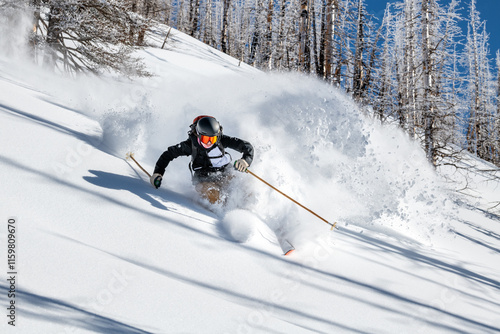 Woman Skier and Powder IV