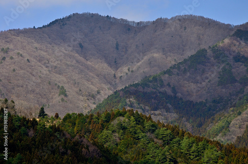 道志山塊　今倉山
