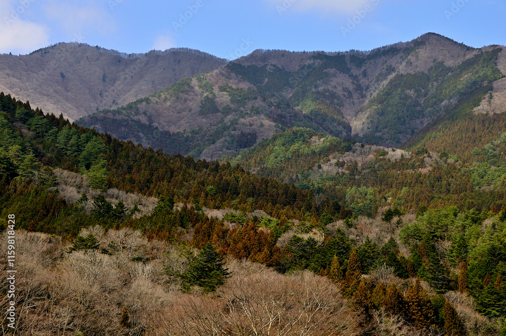 道志山塊 今倉山と平沢ノ頭
道志山塊 今倉山と平沢ノ頭