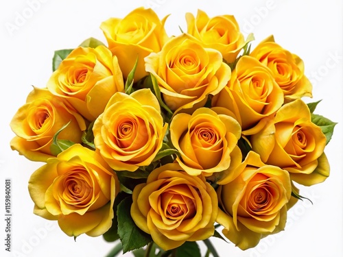 Drone Shot Watercolor Yellow Roses Isolated White Background