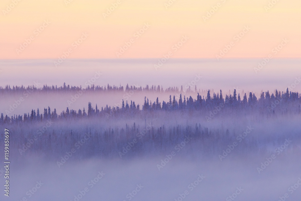 Fototapeta premium Snowy landscape with mist on a cold winter evening after sunset in Riisitunturi National Park, Northern Finland 