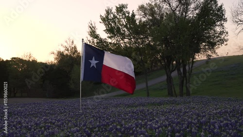 Texas Flag Blowing In The Wind In Field of Bluebonnets At Sunset Fly Up Drone Shot