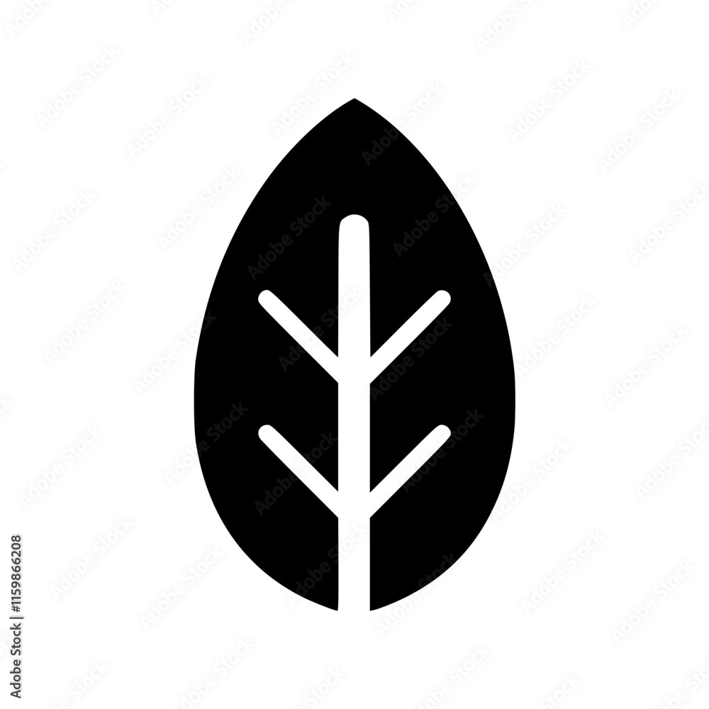 vector images of leaves and the like vector images of leaves and the like