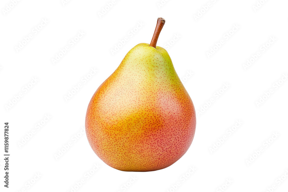 A large, round, orange and green pear sits on a white background A large, round, orange and green pear sits on a white background