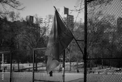 a flag in central park of New york
