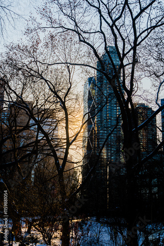 sunset in the park New York City
