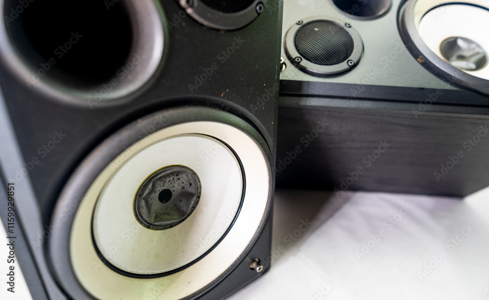 Professional Speaker with very good sound quality Professional Speaker with very good sound quality