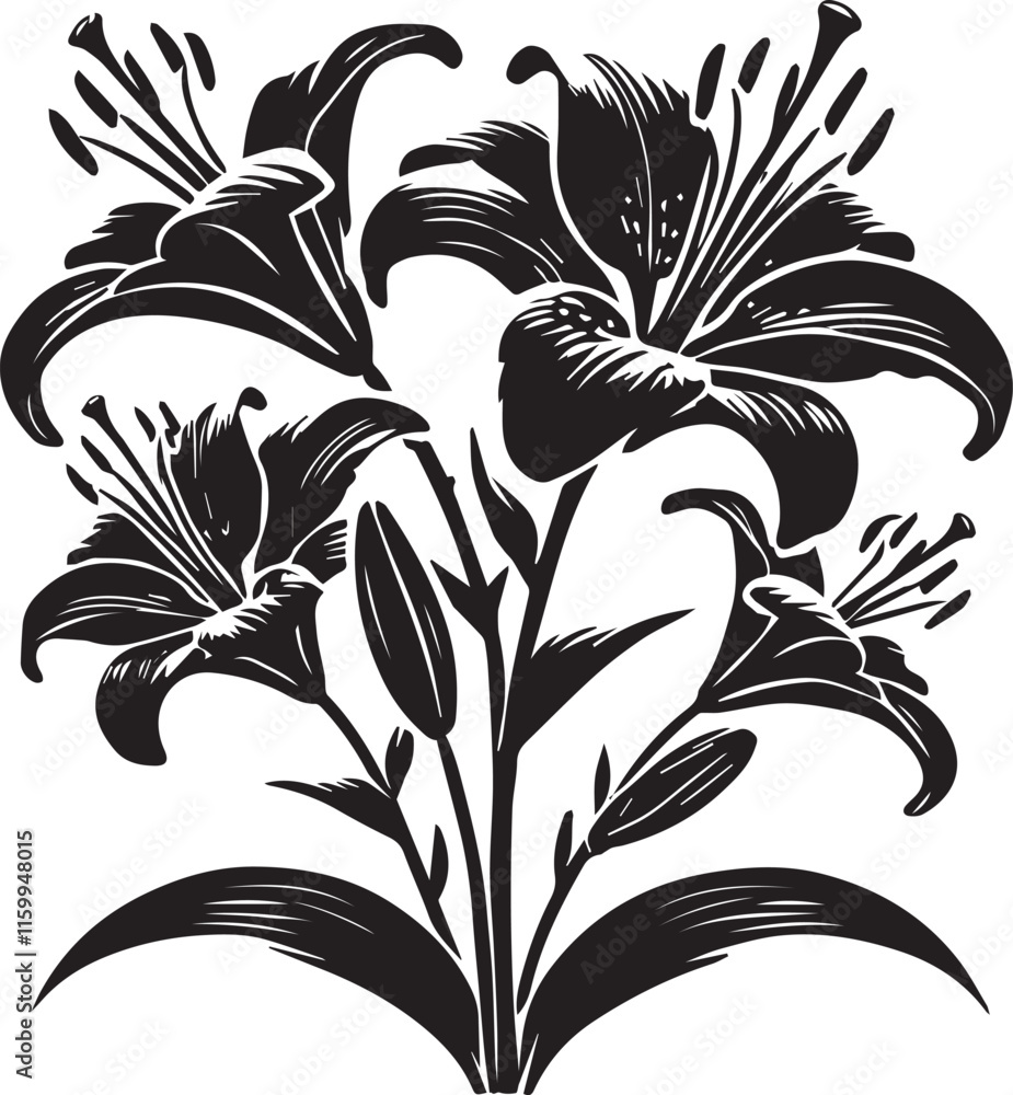 Black and white lily Black and white lily