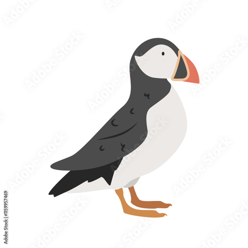 Atlantic puffin cartoon clipart. Common puffin vector illustration in flat style. Hand-drawn wild animal concept