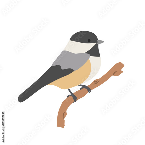 Black-capped chickadee cartoon clipart. Carolina chickadee vector illustration in flat style. Hand-drawn wild animal concept