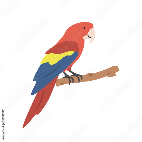 Scarlet macaw cartoon clipart. Colorful parrot macaw vector illustration in flat style. Hand-drawn wild animal concept