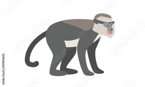 Mona monkey cartoon clipart. Mona monkey vector illustration in flat style. Old World monkey. Hand-drawn wild animal concept