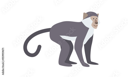 Sooty mangabey cartoon clipart. Mangabey vector illustration in flat style. Old World monkey. Hand-drawn wild animal concept